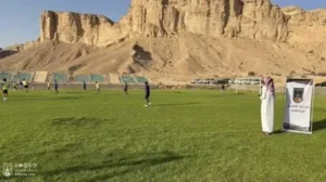 فعالية كرة القدم