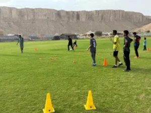 فعالية كرة القدم